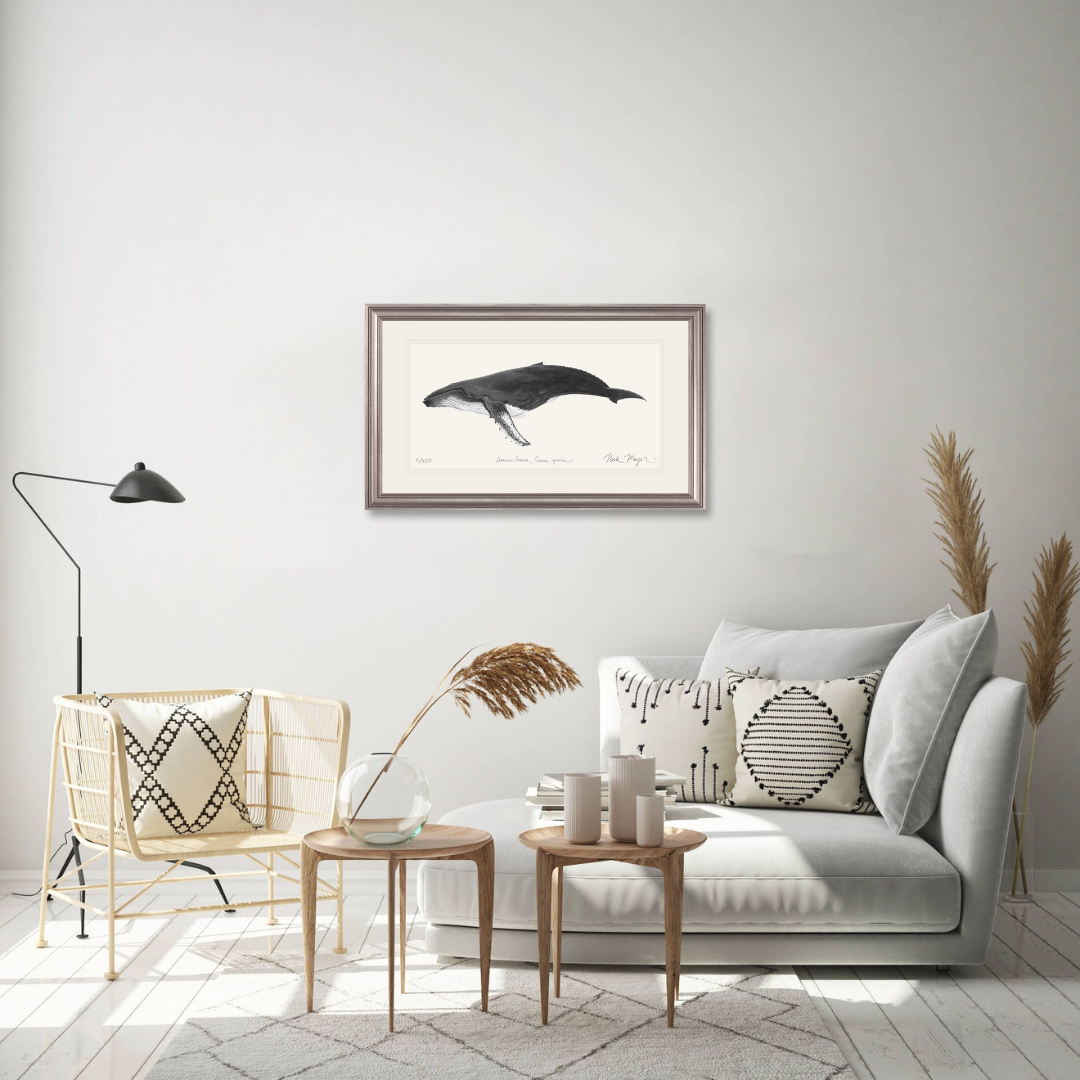 Humpback Whale Limited Edition Print (B&W)