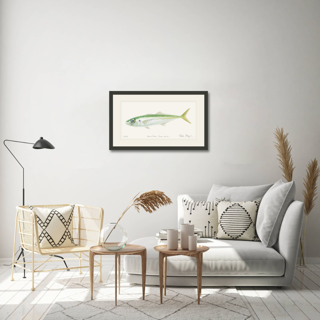 Jack Mackerel Limited Edition Print