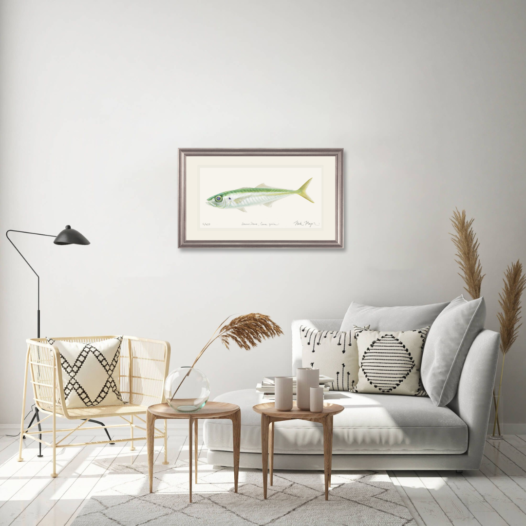 Jack Mackerel Limited Edition Print