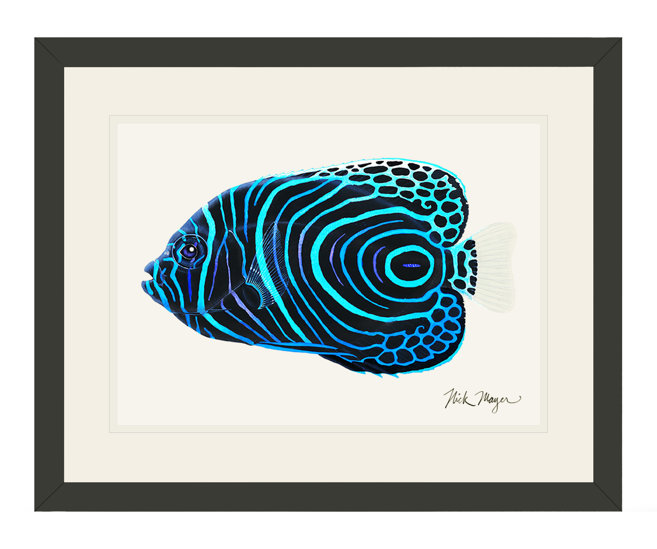 Juvenile Emperor Angelfish Print