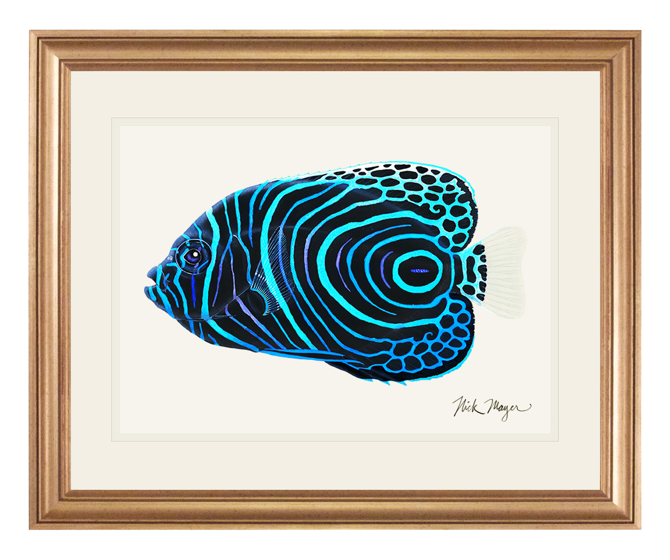 Juvenile Emperor Angelfish Print