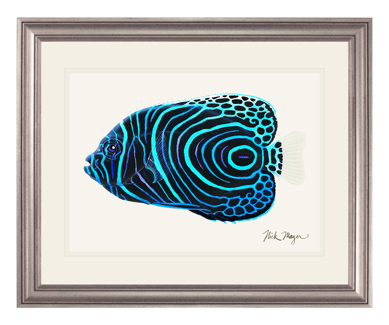 Juvenile Emperor Angelfish Print