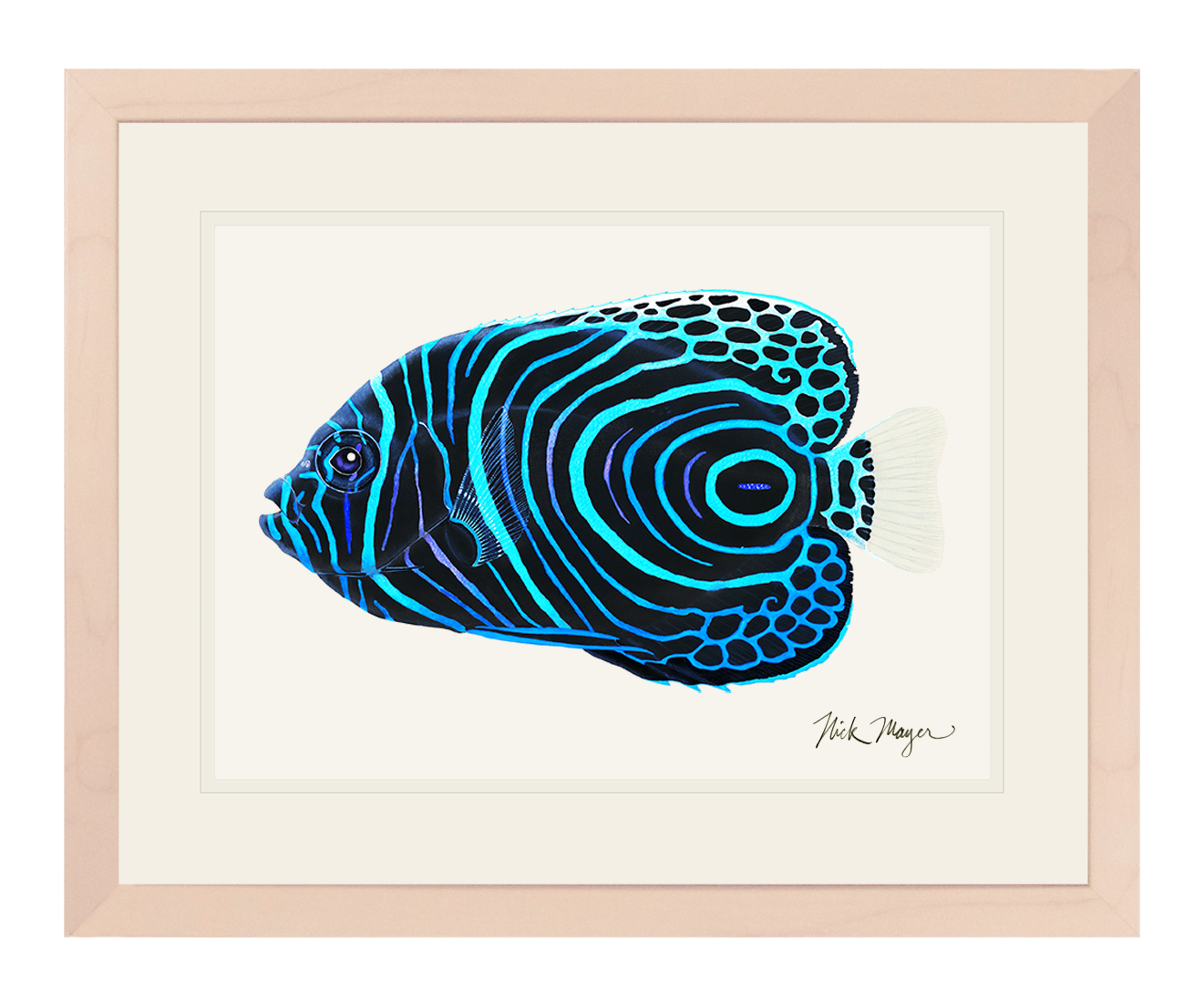 Juvenile Emperor Angelfish Print