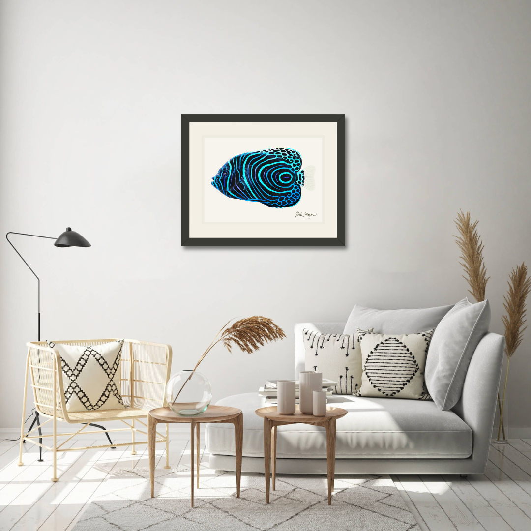 Juvenile Emperor Angelfish Limited Edition Print