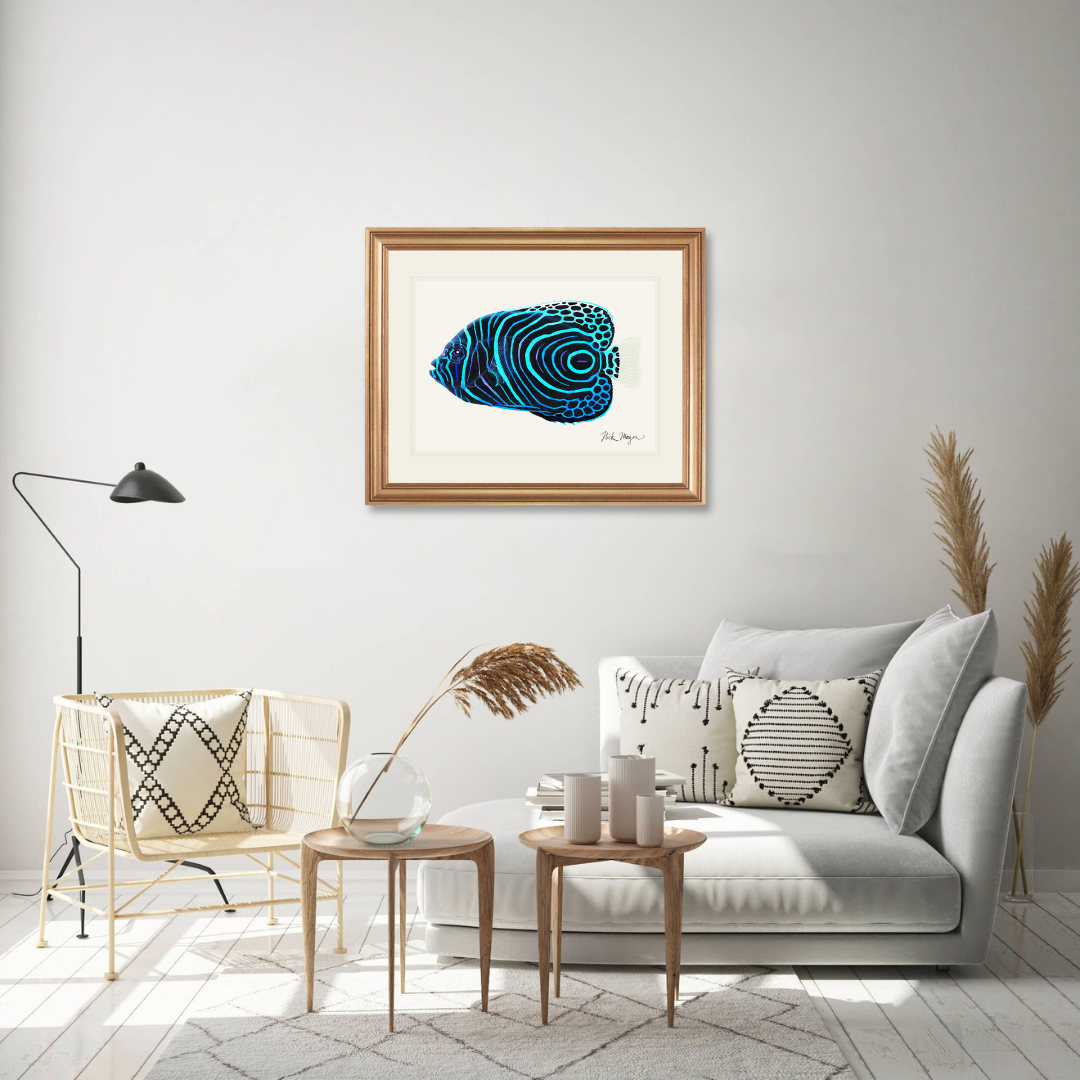 Juvenile Emperor Angelfish Limited Edition Print