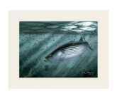 Moonlit Striper Print