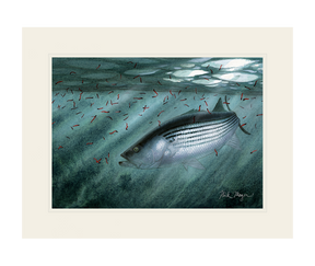 Moonlit Striper Print