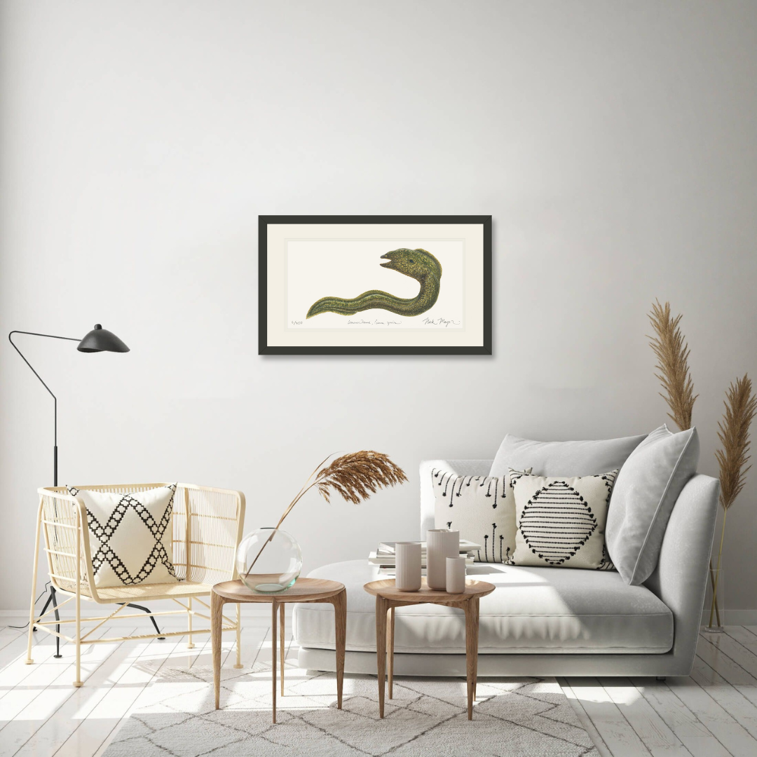 Moray Eel Limited Edition Print