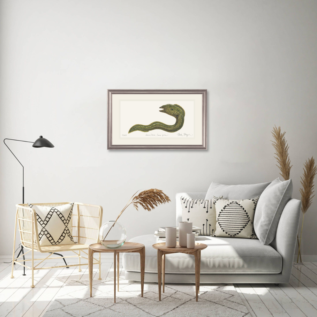 Moray Eel Limited Edition Print