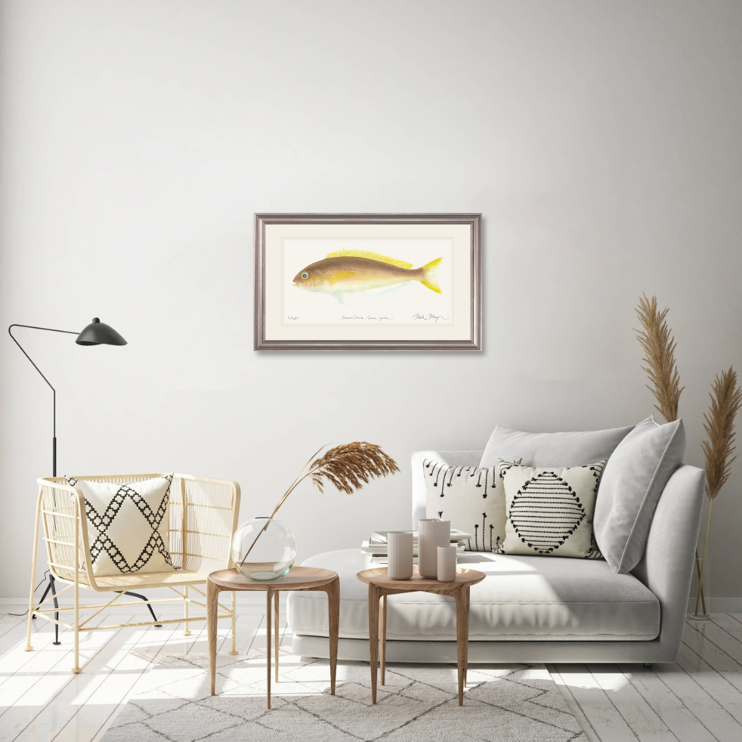 Ocean Whitefish Limited Edition Print