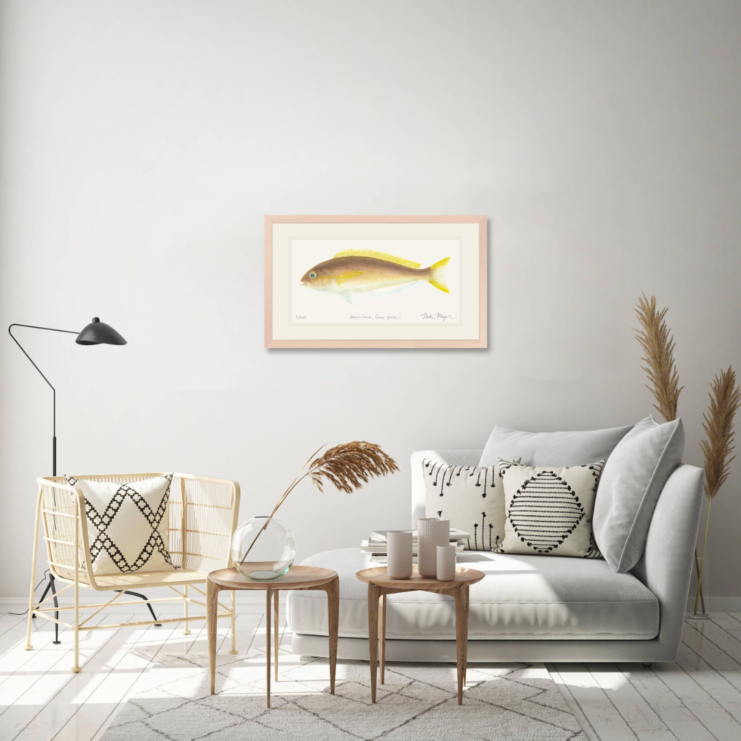 Ocean Whitefish Limited Edition Print