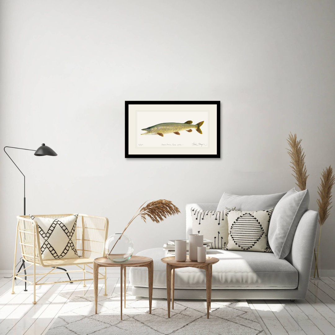 Northern Pike Limited Edition Print