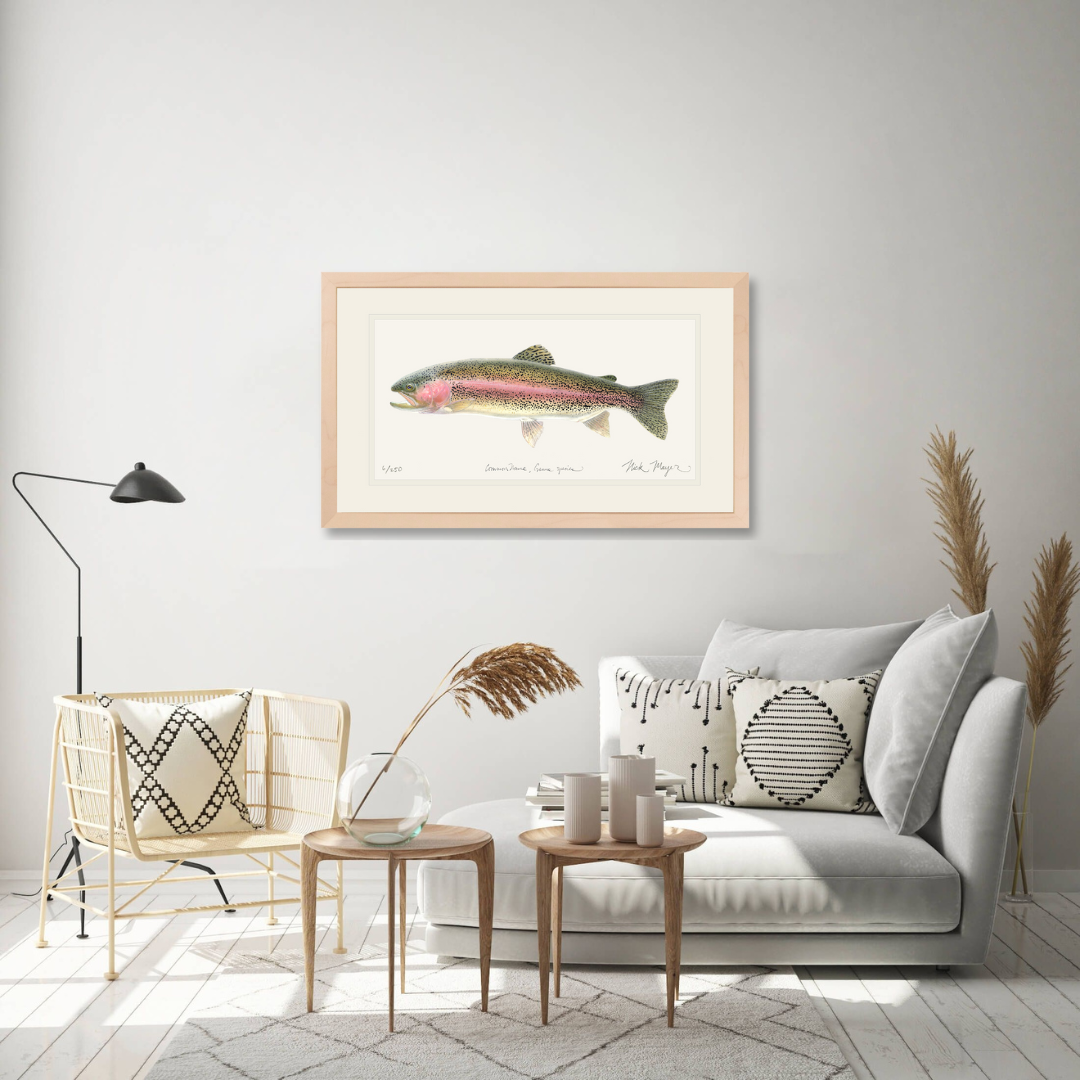 Rainbow Trout Limited Edition Print - Best Seller