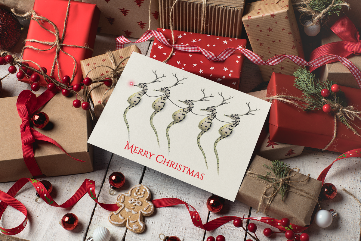 Santa's Seahorses Christmas Cards