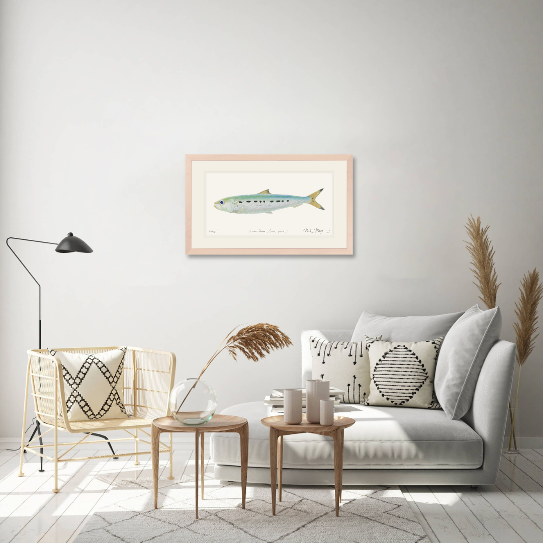 Sardine Limited Edition Print