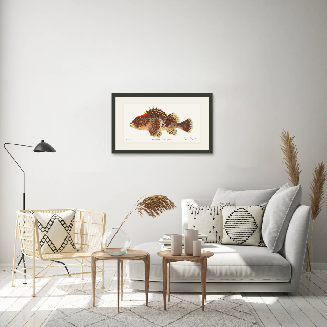 Scorpionfish Limited Edition Print