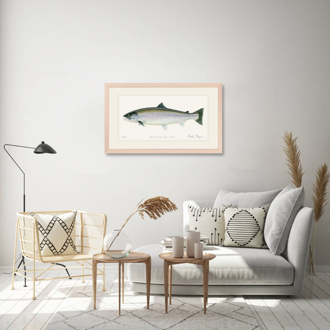 Sea Run Brown Trout Limited Edition Print