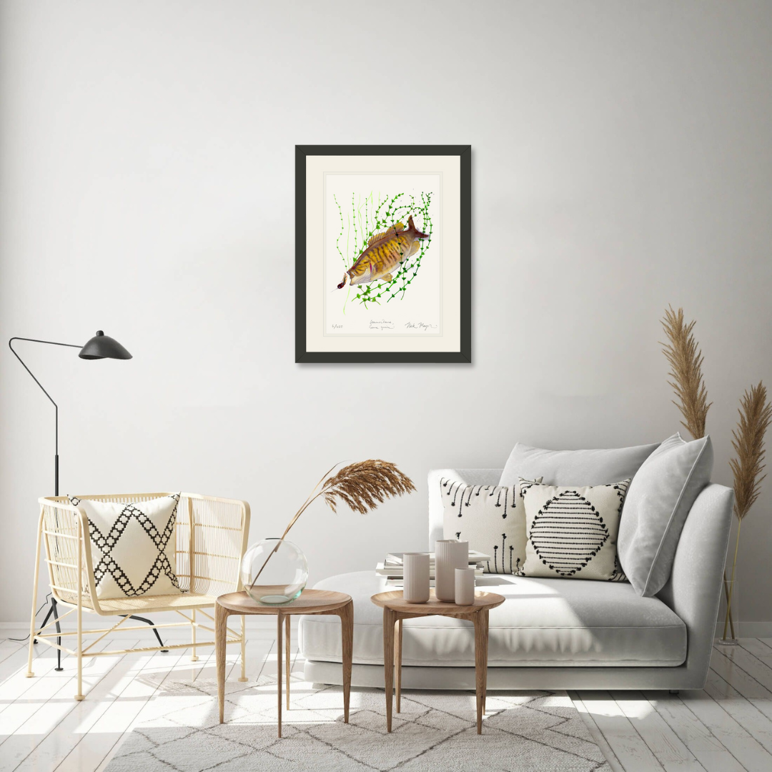 Smallmouth Bass Limited Edition Print