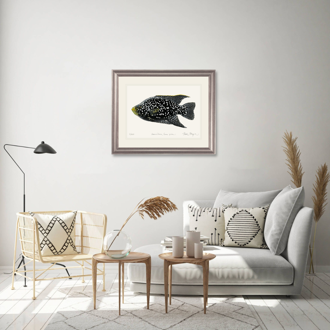 Starry Night Cichlid I Limited Edition Print