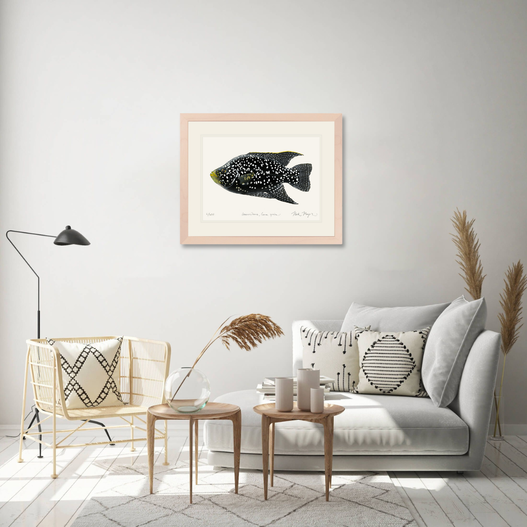 Starry Night Cichlid I Limited Edition Print