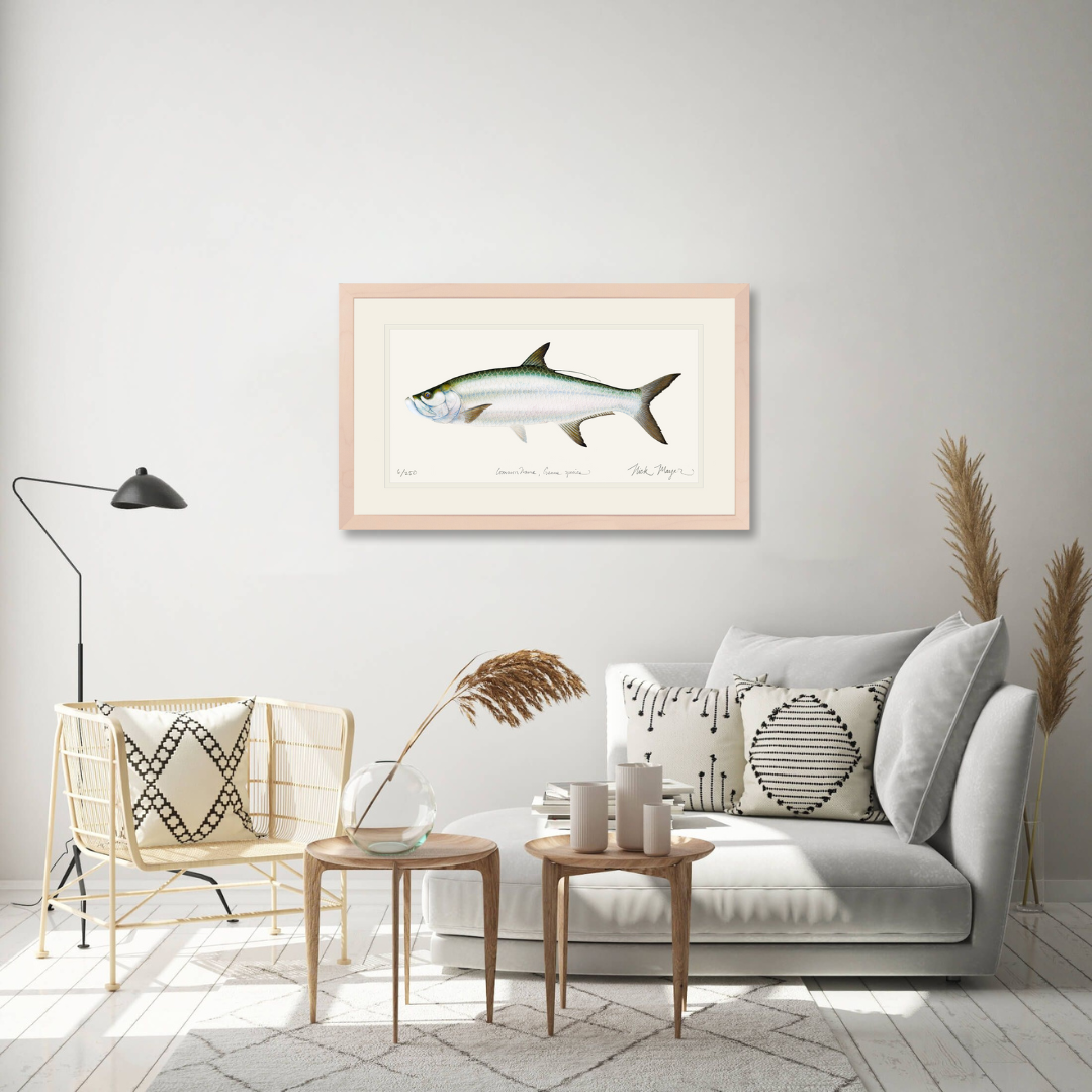 Tarpon Limited Edition Print - Best Seller