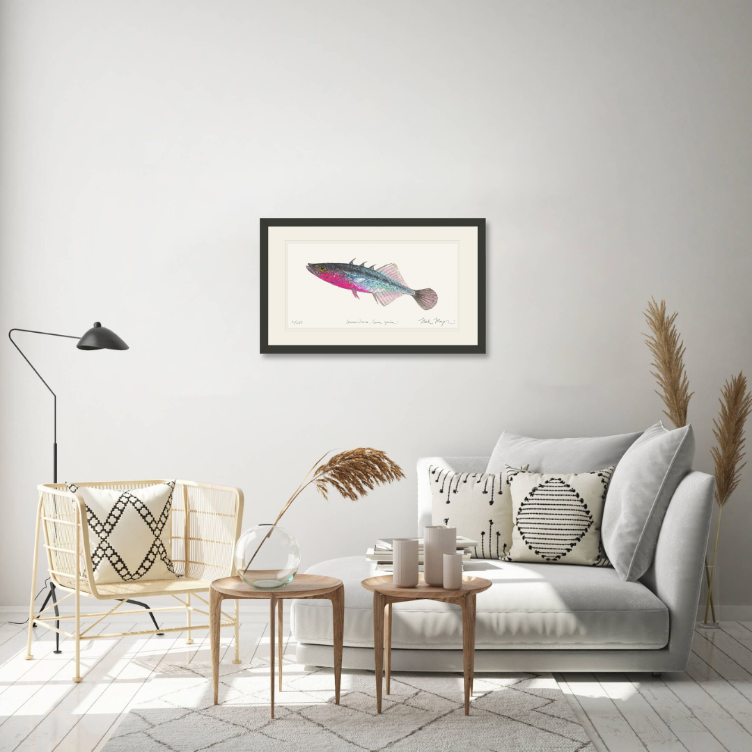 Three Spined Stickleback Limited Edition Print