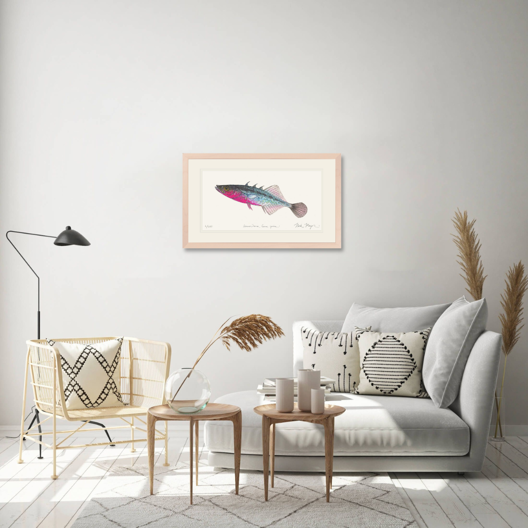 Three Spined Stickleback Limited Edition Print