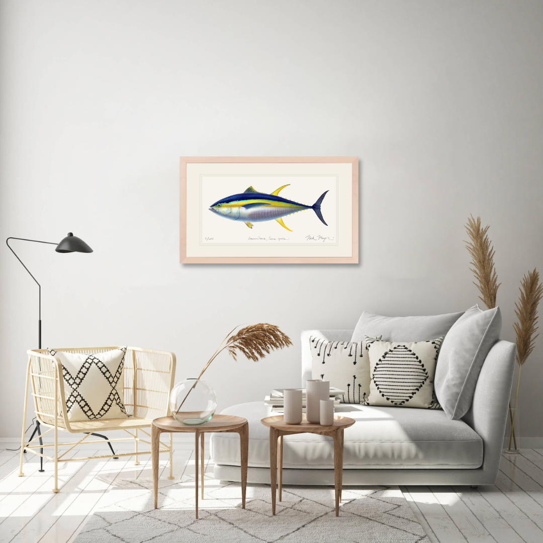 Yellowfin Tuna Limited Edition Print - Best Seller