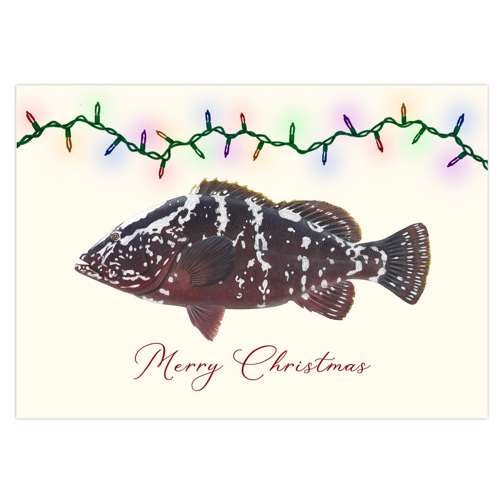 Grouper Lights 2 Christmas Cards - NEW for 2024!