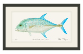 Bluefin Trevally Print