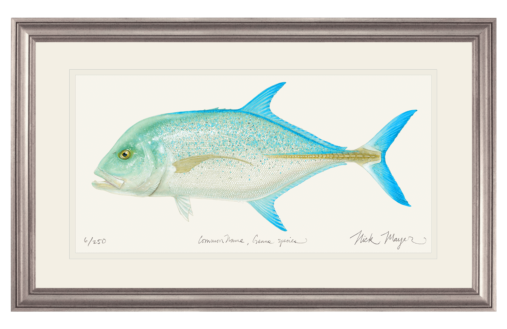 Bluefin Trevally Limited Edition Print