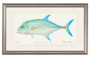 Bluefin Trevally Print