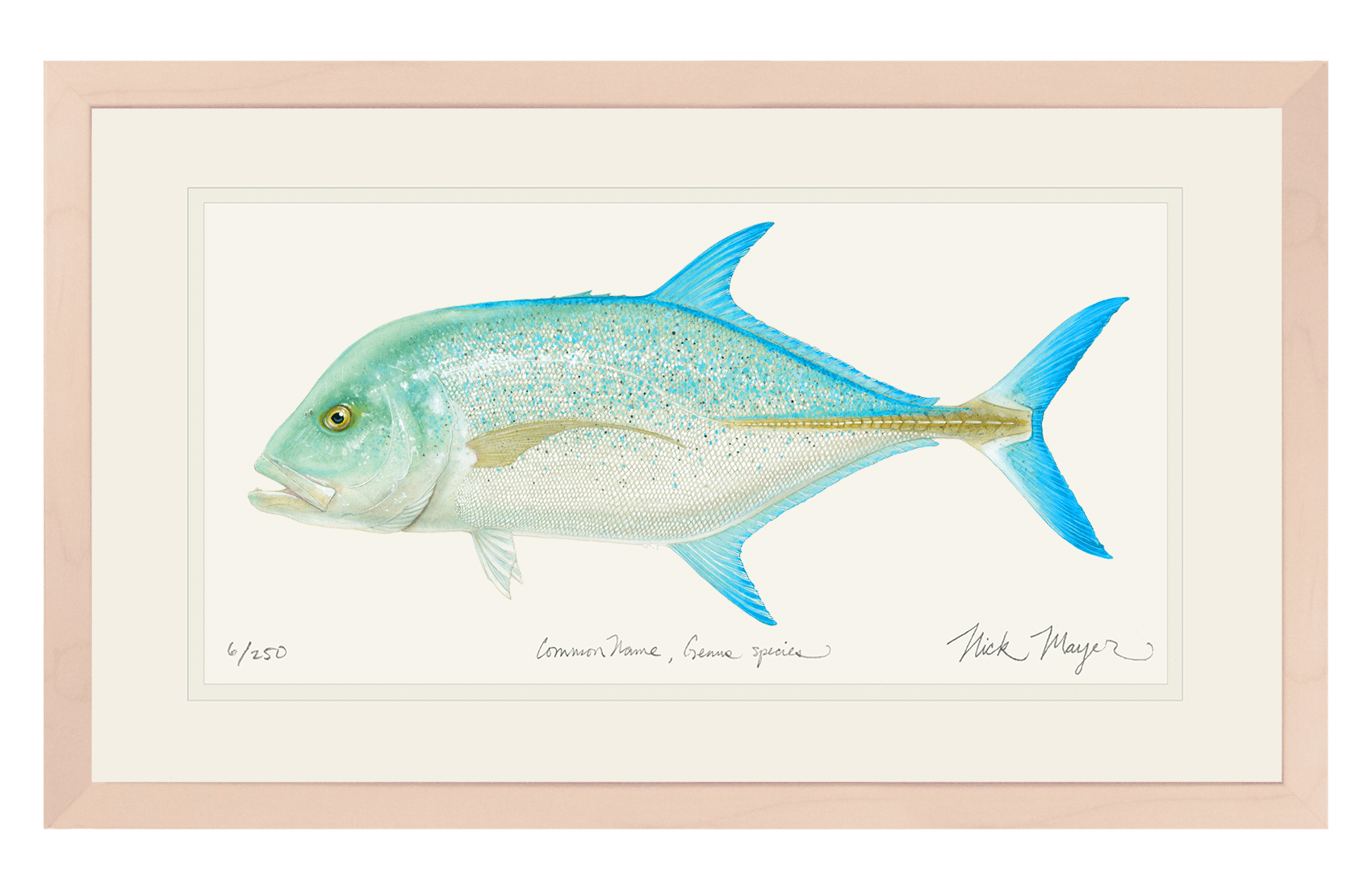 Bluefin Trevally Limited Edition Print