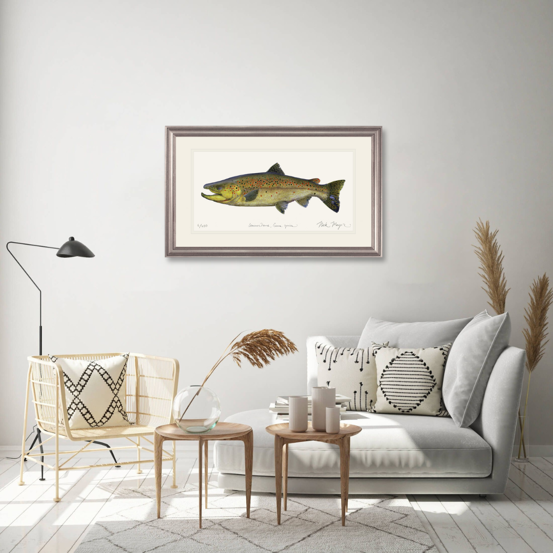 Brown Trout Limited Edition Print