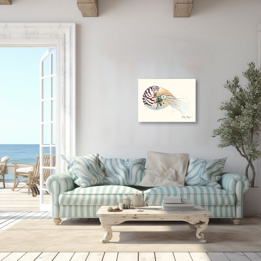 NEW! Chambered Nautilus Canvas Wrap