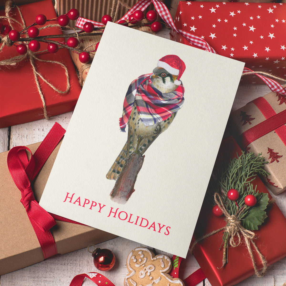 Bundled Up Kestrel Holiday Cards