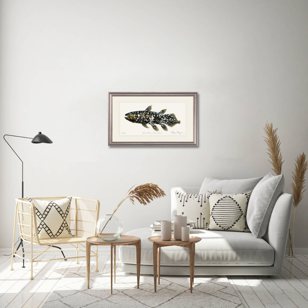 Coelacanth Limited Edition Print