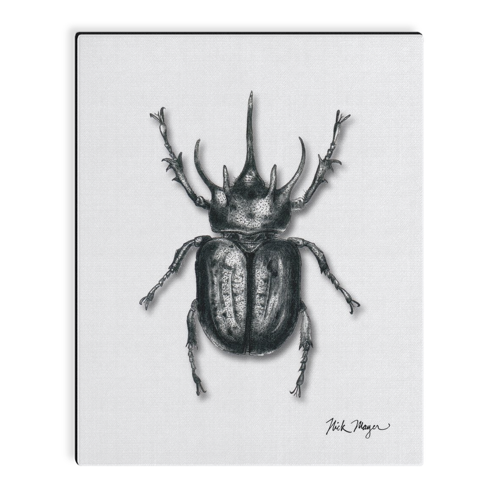 Rhinoceros Beetle Canvas Print