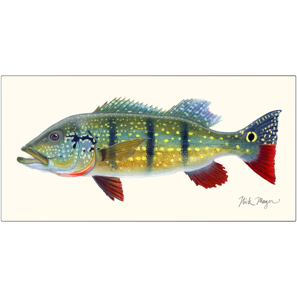 NEW! Peacock Bass Metal Print