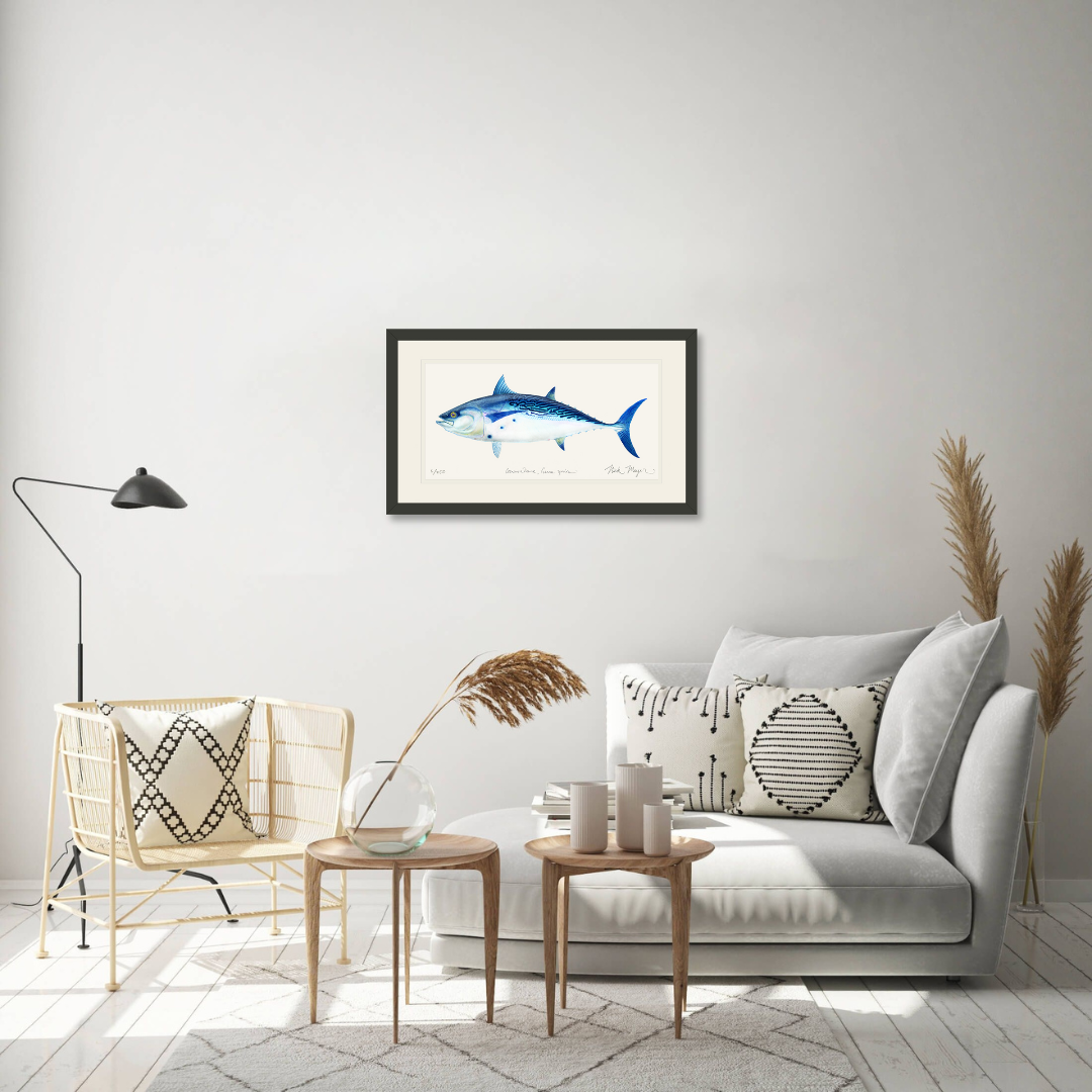 False Albacore II Limited Edition Print