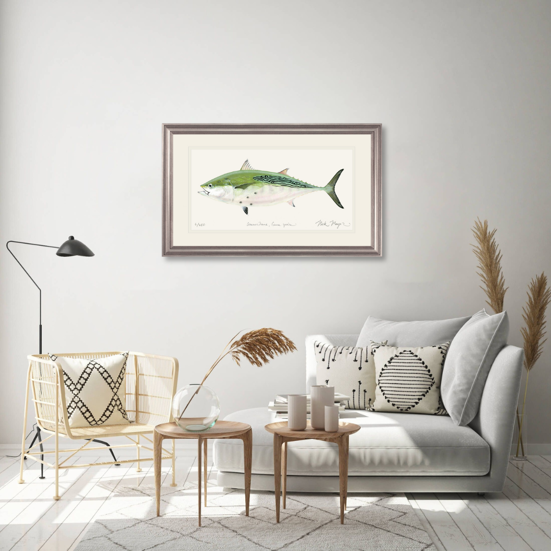 False Albacore IV Limited Edition Print - Best Seller