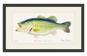 NEWEST PRINT: Largemouth Bass III, 10 lb Sharelunker Print