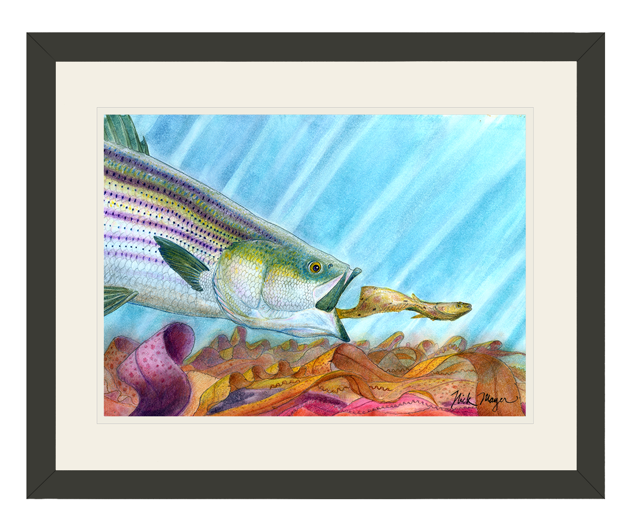 Striper and Flounder Limited Edition Print