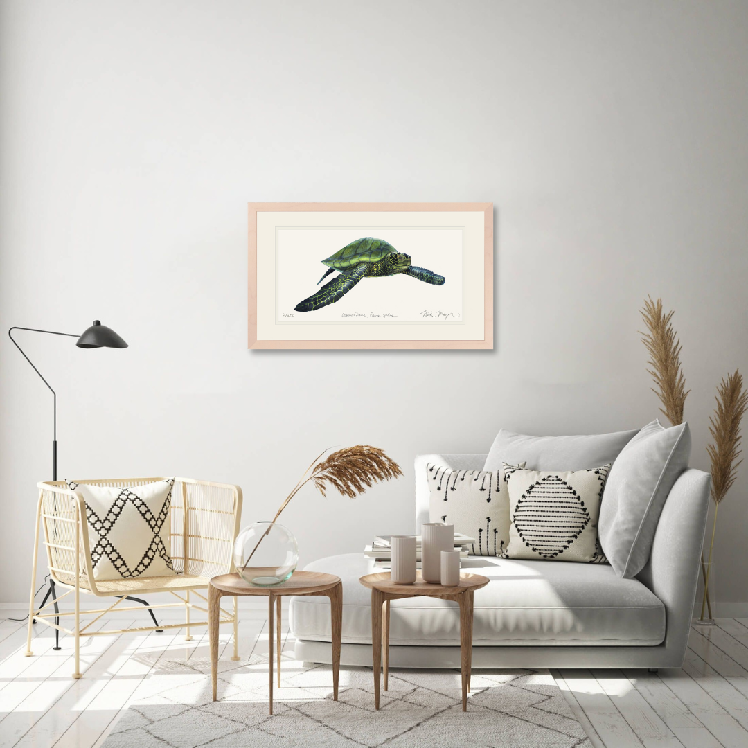 Green Sea Turtle Limited Edition Print