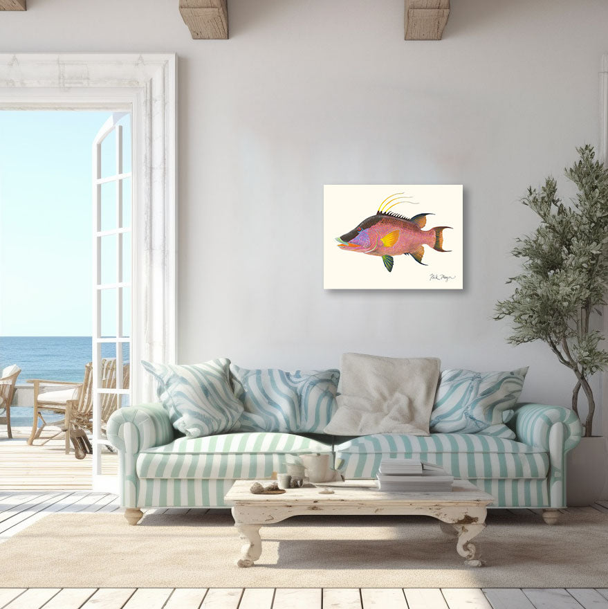 NEW! Hogfish Canvas Wrap