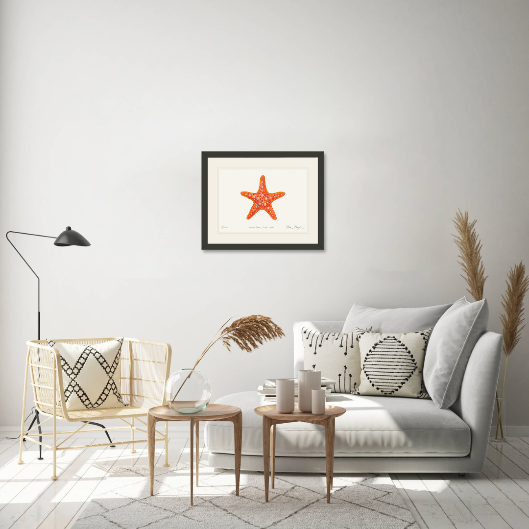 Horned Sea Star Limited Edition Print