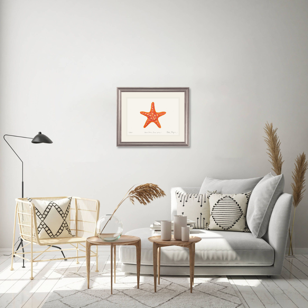 Horned Sea Star Limited Edition Print