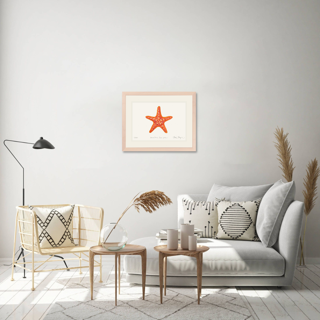 Horned Sea Star Limited Edition Print