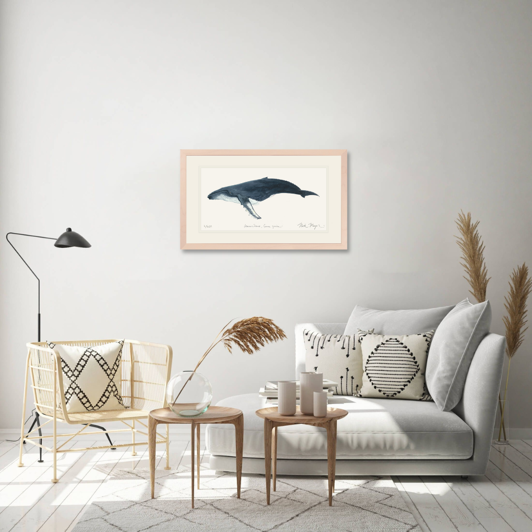 Humpback Whale Limited Edition Print