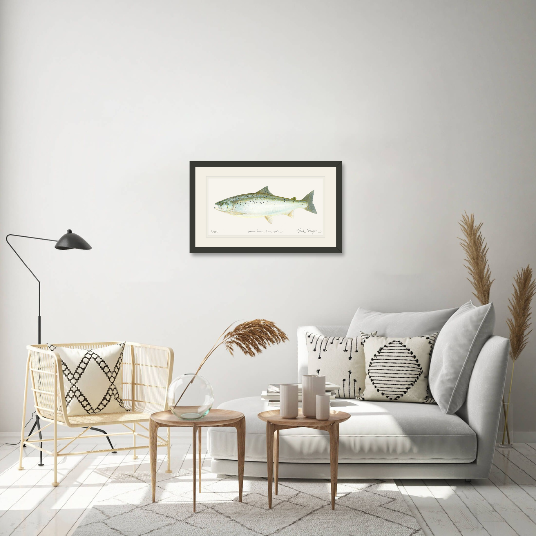 Landlocked Salmon Limited Edition Print